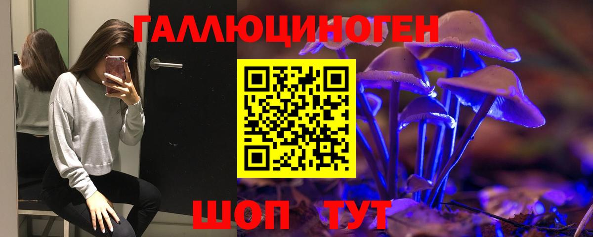 Псилоцибиновые грибы Cubensis Белово